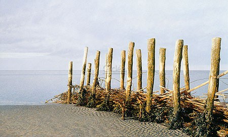 Peter van der Ploeg, Mudflats (Malerei, modern, Fotorealismus, Meeresbrise, maritim, Meer, Ebbe, Sand, Strand, Holz, Pflöcke,  Sonnenlicht, Entspannung, Ruhe, Treppenhaus, Wohnzimmer, Schlafzimmer,  bunt)