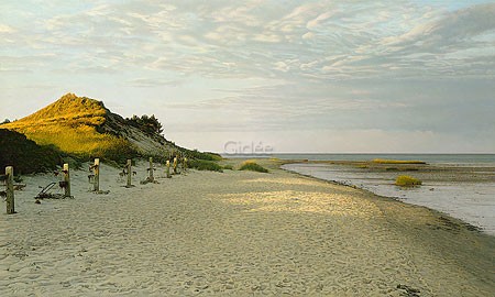 Peter van der Ploeg, Rømø (Malerei, modern, Fotorealismus, Meeresbrise, maritim, Meer, Düne, Dänemark, Insel, Wattenmeer, Strand, Sand, Möwe, verlassen, Horizont, Treppenhaus, Wohnzimmer, Schlafzimmer, bunt)