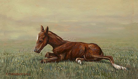 Rob Møhlmann, Femke, the first few minutes of a foal 3 (Natur, Pferd, Fohlen, Geburt, unbeholfen, tapsig, Wiese, Wohnzimmer, bunt)