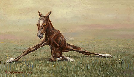 Rob Møhlmann, Femke, the first few minutes of a foal 4 (Natur, Pferd, Fohlen, Geburt, unbeholfen, tapsig, Wiese, Wohnzimmer, bunt)