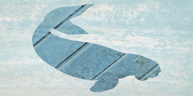 Sheldon Lewis, Migration 2 (Pottwal, Meerestier, Collage, Holz, Maritim, Wunschgröße, Grafik, Badezimmer, Treppenhaus, bunt)