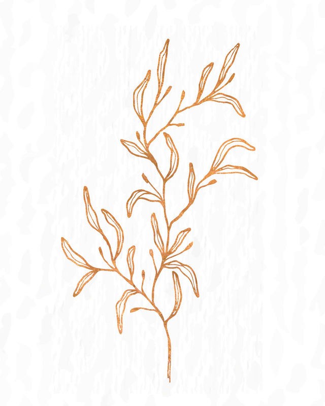 Kimberly Allen, Copper Botanical 2 (Zweig, Blätter, Zeichnung, Studie, Grafik,  Wohnzimmer, Treppenhaus, Büro, Wunschgröße, beige/kupfer)
