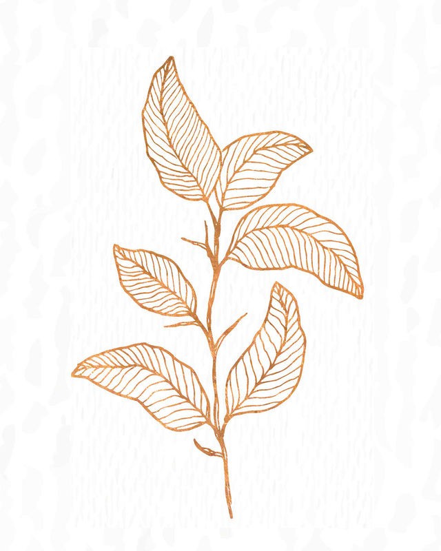 Kimberly Allen, Copper Botanical 4 (Blatt, Zweig, Zeichnung, Studie, Botanik, Grafik,  Wohnzimmer, Treppenhaus, Büro, Wunschgröße, beige/kupfer)