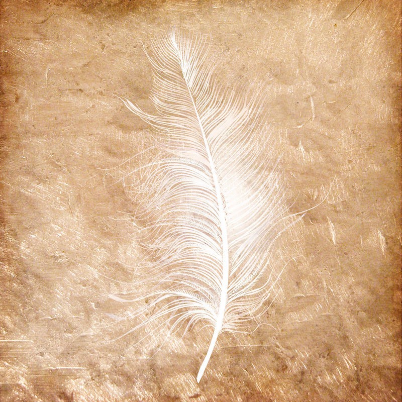 Kimberly Allen, Copper Feathered 1 (Feder, Vogelfeder, abstrakt, Grafik,  Wohnzimmer, Treppenhaus, Büro, Wunschgröße, kupfer)