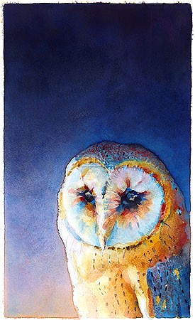 Jan van der Scheer, Barn owl III (Malerei, Modern, Schleiereule, Eule, Eulenkopf, Eulenportrait, blaues Farbfeld, Wohnzimmer, Treppenhaus, Schlafzimmer, bunt)