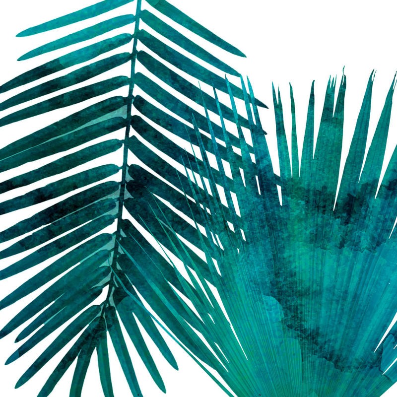 Sheldon Lewis, Watercolor Burst 3 (Blatt, Federblatt, Fächerblatt, Lanzettblätter, Botanik, Aquarell, Wohnzimmer, Treppenhaus, Wunschgröße, türkis/weiß)