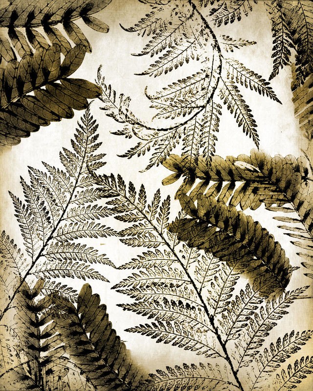 Kimberly Allen, Gold Palm 1 (Blätter, Farnblatt, Fotokunst, Nahaufnahme,  Botanik, Pflanzen, Treppenhaus,  Wohnzimmer, Wunschgröße, grün/beige)