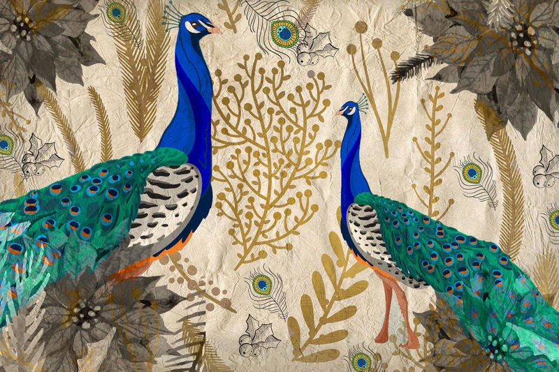 Kimberly Allen, Poinsettia Peacocks (Tiere, Pfau, Pfauenfedern, Pfauenaugen, Vogel, Blüten, Blätter, Nostalgie, Grafik, Wohnzimmer, Treppenhaus, Schlafzimmer,  Wunschgröße, bunt)