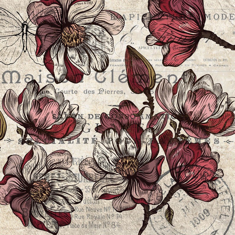 Kimberly Allen, Magnolia Series 4 (Magnolien, Blumen, Frankreich, Kalligrafie, Postkarte, Nostalgie, Grafik, Wohnzimmer, Treppenhaus, Schlafzimmer,  Wunschgröße, beige/rot)