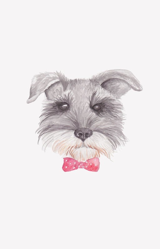 Pam Varacek, Bowtie Blackie (Hund, Kopf, Portrait, Tierportrait, Schleifchen, Schleife, Studie,Treppenhaus, Wohnzimmer, Grafik, Wunschgröße, bunt)