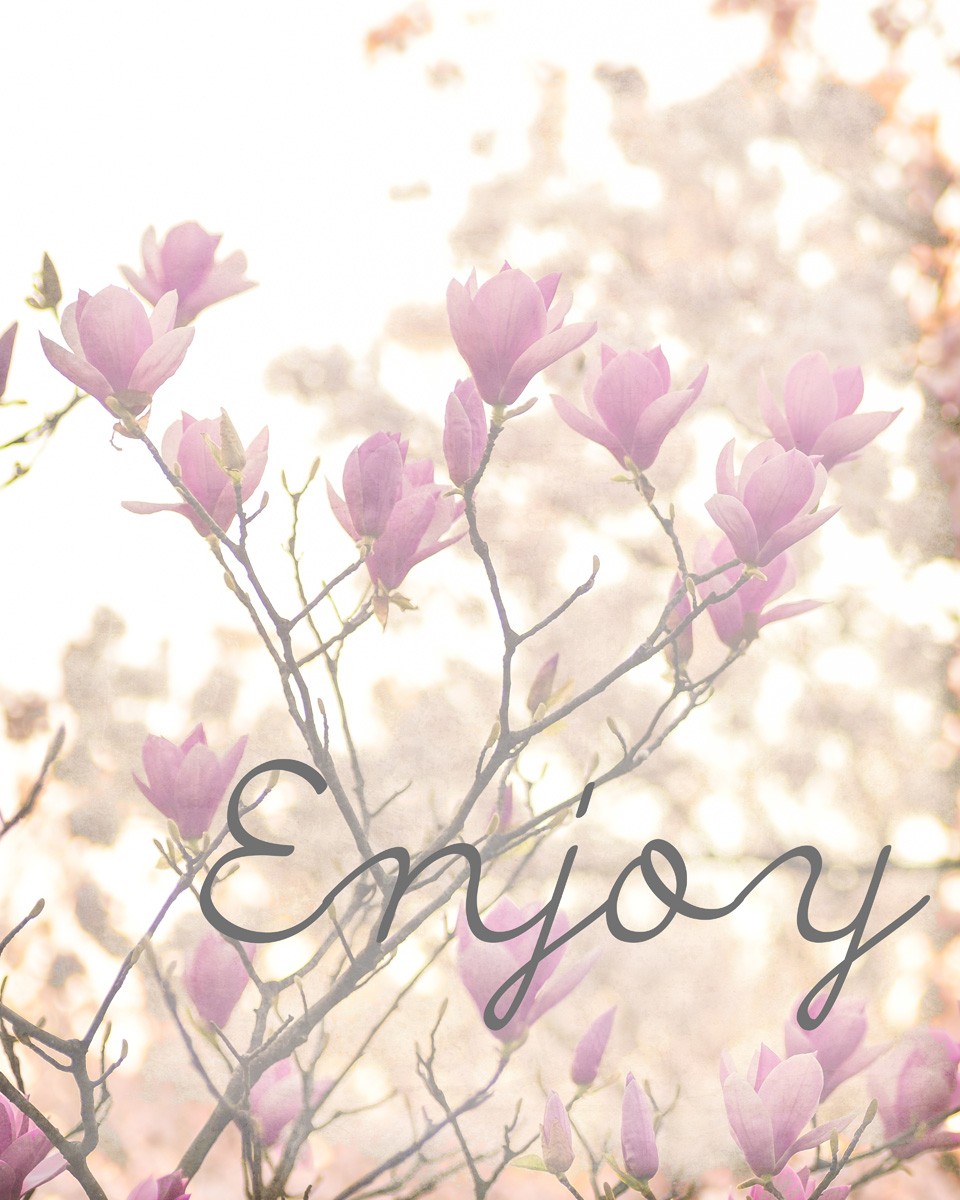 Kimberly Allen, Cherry Blossoms 3 (Magnolien, Blüten, Blütenzweige,  Motivation, Inspiration, Freude, dekorativ,  Wohnzimmer, Treppenhaus, Schlafzimmer, Wunschgröße, bunt)