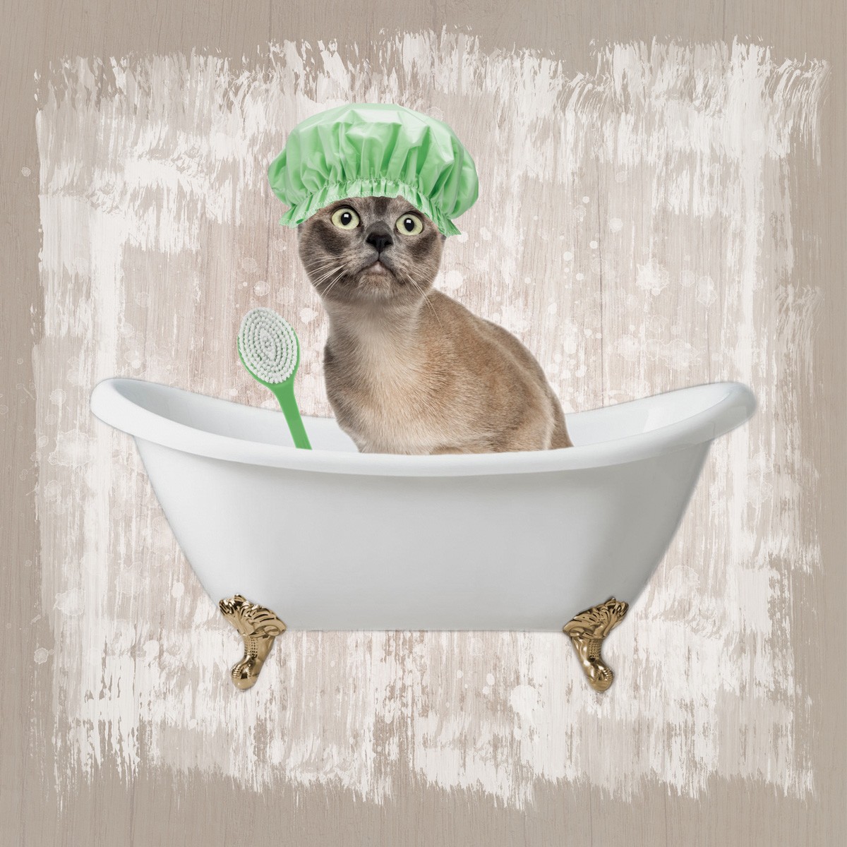 Marcus Prime, Kitty Baths 3 (Katze, Burma, Badewanne, Badehaube,  witzig, lustig, niedlich, Jugendzimmer, Badezimmer, Grafik, Wunschgröße, bunt)