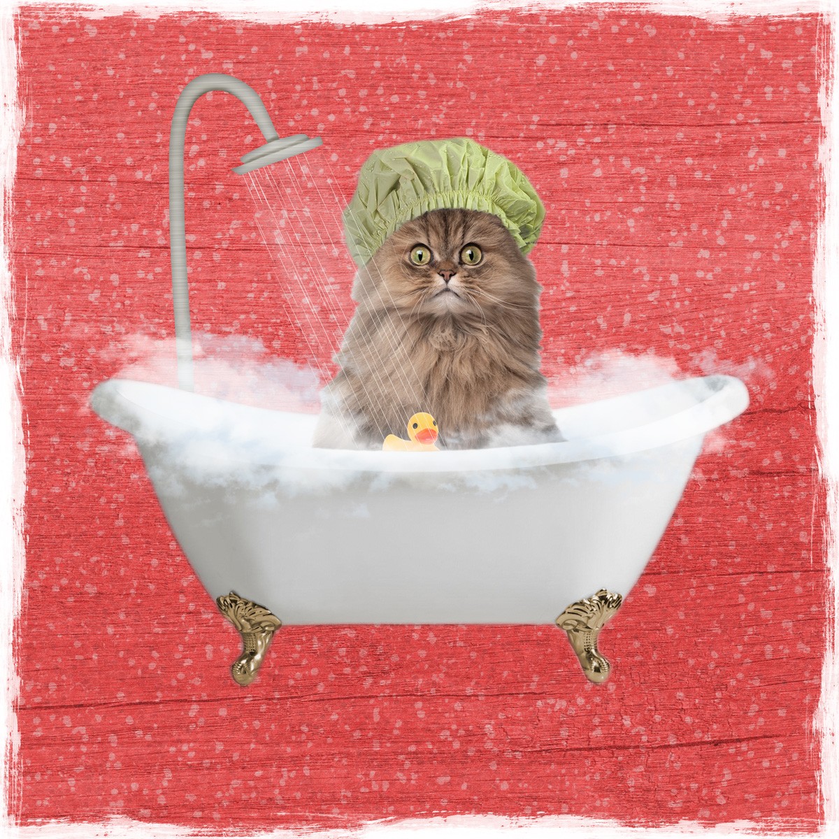 Marcus Prime, Sparkling Kitty 1 (Katze, Badewanne, Dusche, Badeschaum, Badehaube,  witzig, lustig, niedlich, Jugendzimmer, Badezimmer, Grafik, Wunschgröße, bunt)