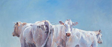 Hiske Wiersma, Two cows and a bull (Malerei, Tierportrait, Kühe, Bulle, Stier, Nutztiere, weiße Kühe, Sonnenlicht, modern, Esszimmer, Wohnzimmer, weiß / blau)