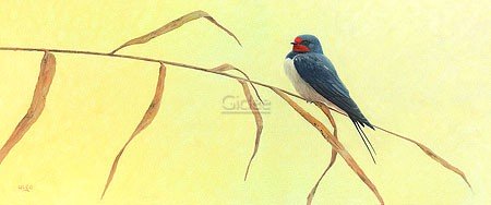 Ulco Glimmerveen, Barn Swallow (Malerei, Vogel, Schwalbe, Zweig, Wohnzimmer, Schlafzimmer, Treppenhaus, bunt)
