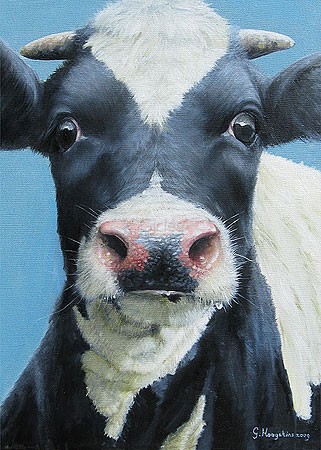 Geke Hoogstins, Oei (Malerei, Natur, Tierportrait, schwarz-weiße Kuh, Kuhaugen, Treppenhaus, Wohnzimmer, bunt)
