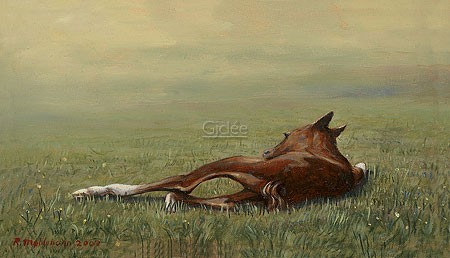 Rob Møhlmann, Femke, the first few minutes of a foal 1 (Natur, Pferd, Fohlen, Geburt, unbeholfen, Wiese, Wohnzimmer, Malerei, bunt)