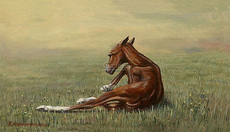 Rob Møhlmann, Femke, the first few minutes of a foal 2 (Natur, Pferd, Fohlen, Geburt, unbeholfen, tapsig, Wiese, Wohnzimmer, bunt)