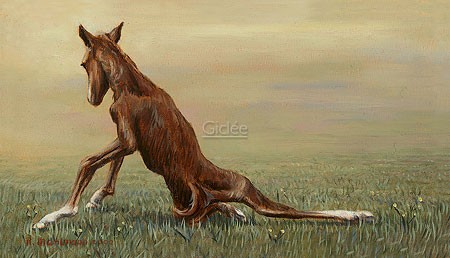 Rob Møhlmann, Femke, the first few minutes of a foal 5 (Natur, Pferd, Fohlen, Geburt, unbeholfen, tapsig, Wiese, Wohnzimmer, bunt)