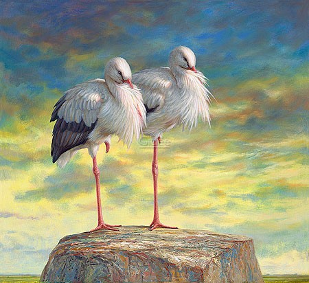 Erik van Ommen, Storks (Malerei, Natur, Tierwelt, Störche, Storchenpaar, Ausblick, Ruhe, Pause,  Vögel, naturgetreu, realistisch, Wohnzimmer, Schlafzimmer, bunt)