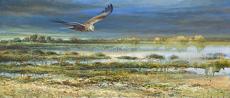 Erik van Ommen, Western Marsh Harrier (Malerei, Natur, Tierwelt, Rohrweihe, Wasservogel, Anflug, Eleganz, See,  Vögel, naturgetreu, realistisch, Wohnzimmer, Schlafzimmer, bunt)