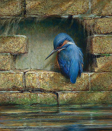 Erik van Ommen, Resting Kingfisher (Malerei, Natur, Tierwelt, Eisvogel, ausruhen, Pause, Mauer, Ruheplatz, Sicherheit, Wasservogel, Vögel, naturgetreu, realistisch, Wohnzimmer, Schlafzimmer, bunt)