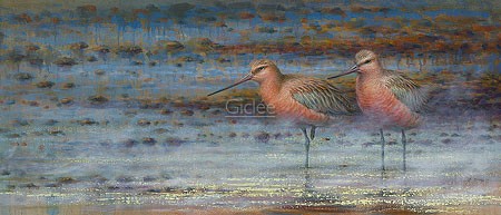 Erik van Ommen, Bar-tailed Godwits (Malerei, Natur, Landschaft, See, Wasser, Wasservögel, Schnepfe, Pfuhlschnepfe, Vögel, naturgetreu, realistisch, Wohnzimmer, Schlafzimmer, bunt)
