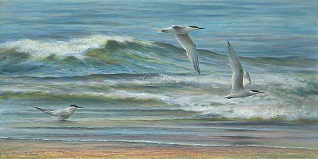 Erik van Ommen, Three Terns (Malerei, Natur, Landschaft,  Seeschwalben, Flug, Fliegen, Meer, Wellen, Wasservögel, Vögel, naturgetreu, realistisch, Wohnzimmer, Schlafzimmer, bunt)