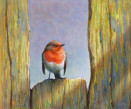 Erik van Ommen, Robin (Malerei, Natur, Vogel, Rotkehlchen, Ruheplatz, Holz, morsch, naturgetreu, realistisch, Wohnzimmer, Schlafzimmer, bunt)