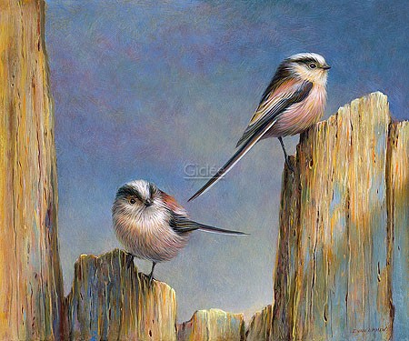 Erik van Ommen, Long-tailed Tits (Malerei, Natur, Vogel, Schwanzmeise, Meisen, Ruheplatz, Holz, morsch, naturgetreu, realistisch, Wohnzimmer, Schlafzimmer, bunt)