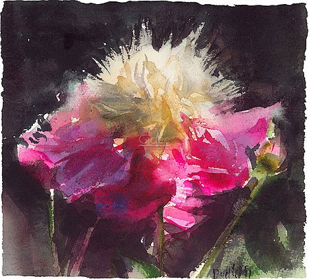 Dorry van de Winkel, Paeonia 'Bowl of beauty' (Malerei, modern,  Blume, Pfingstrose, Blüte, Blütenpracht, Wohnzimmer, Schlafzimmer,Treppenhaus, bunt)