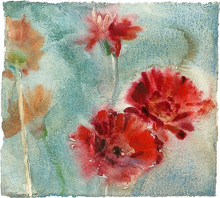 Dorry van de Winkel, Gerbera (Malerei, Aquarell, modern,  Blumen, Gerbera,, Blüten,  Wohnzimmer, Schlafzimmer, Treppenhaus, bunt)