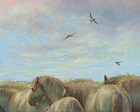 Erik van Ommen, Horses and barn swallows (Malerei, Natur, Tierwelt, Pferde, Schimmel, Herde, Schwalben, Vögel, naturgetreu, realistisch, Wohnzimmer, Schlafzimmer, bunt)