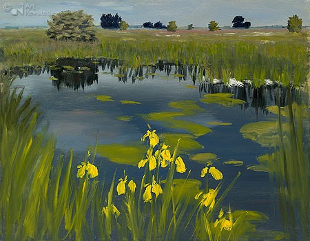 Dick Bakker, Yellow Flag at Brandemeer (Malerei, Landschaft, Niederlande, Teich, Frühling, gelbe Iris, Einsamkeit, Wohnzimmer, Treppenhaus, bunt)