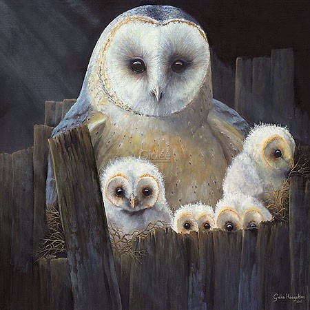 Geke Hoogstins, Nesting barn owls (Schleiereule, Eule, Raubvogel, Eulennest, Eulenbabys, Jungvögel, Küken, niedlich, putzig, naturalistisch, Treppenhaus, Wohnzimmer, Malerei, bunt)