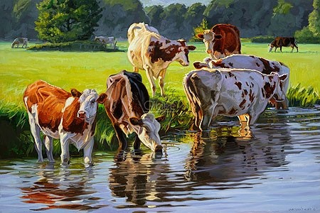 Jan van Hoff, Red and white Holstein cattle drinking from a stream (Kühe, Tiere, Vieh, Nutztiere, Herde,Fluss, Durst, Tränke, Landschaft, impressionistisch, Malerei, modern, Treppenhaus,  Wohnzimmer,  Esszimmer,  bunt)
