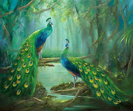 Jan Kooistra, Two peacocks (Natur, Vogel, Pfau, eitel, Federschmuck, Wald, Esszimmer, Wohnzimmer, Treppenhaus, Malerei, bunt)