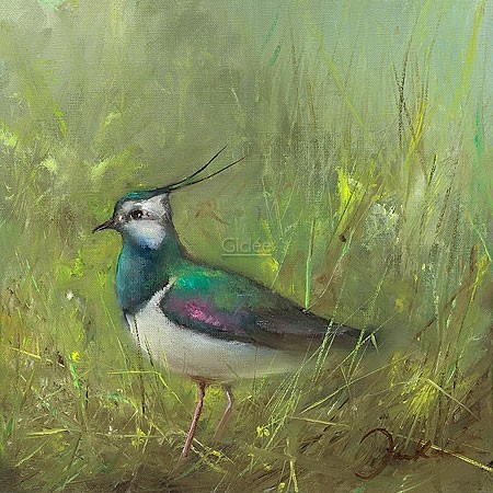 Jan Kooistra, Lapwing (Natur, Vogel, Wiedehopf, Graslandschaft, Esszimmer, Wohnzimmer, Treppenhaus, Malerei, bunt)