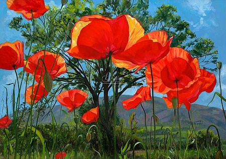 Theo Leijdekkers, Poppies, tree or mountain (Mohnblumen, Malerei, Natur, Blumen, Blüten, Blumenwiese, Sommer, Blütenblätter, Treppenhaus, Arztpraxis, bunt)