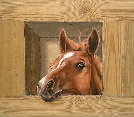 Johan Mulder, Paard (Malerei, Tier, Pferd, Tierportrait, Neugier,  Nutztiere, niedlich, putzig,  Esszimmer, Treppenhaus, Wohnzimmer, braun / beige)