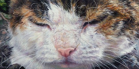 Adriana van Zoest, Cat eyes (Katze, Tierportrait, Katzengesicht, Glückskatze, Malerei, naturgetreu, realistisch, Fotorealismus, Wohnzimmer, Schlafzimmer, Treppenhaus, bunt)