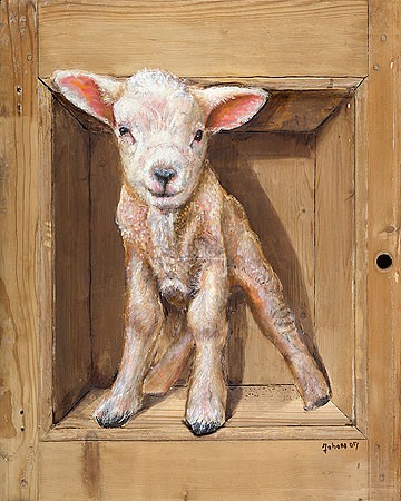 Johan Mulder, Lamb (Malerei, Tier, Lamm, unsicher,  Nutztiere, niedlich, putzig,  Esszimmer, Treppenhaus, Wohnzimmer, bunt)