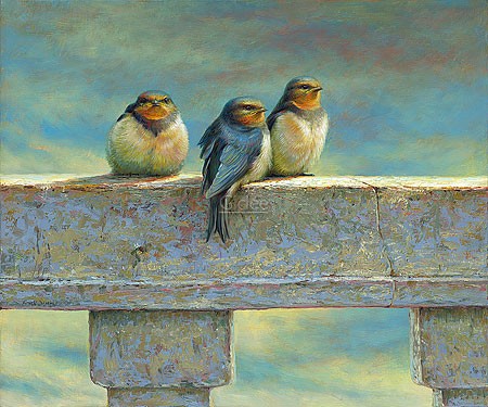 Erik van Ommen, Young Barn Swallows (Vogel, Rauchschwalben, Küken, Vogelkinder, Ballustrade, niedlich, putzig, Pause, Tierportrait, Treppenhaus, Wohnzimmer, bunt)