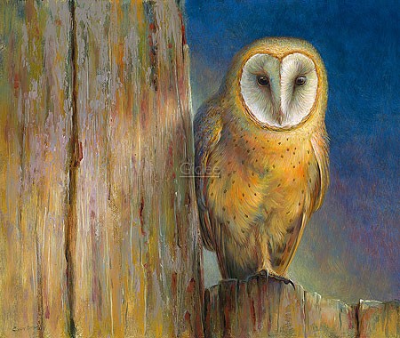 Erik van Ommen, Barn owl (Malerei, Natur, Vogel,Schleiereule, Eule, Greifvogel, Nachtjäger, Ruheplatz, Holz, morsch, naturgetreu, realistisch, Wohnzimmer, Schlafzimmer, Treppenhaus, bunt)