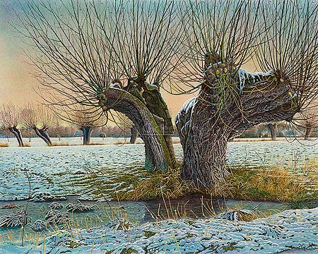 Drago Pecenica, Pollard willow in winter (Malerei, Natur, Landschaft,  Baum, alter Baum, Weide, Kopfweide, Winter, Schnee, knorrig, Äste, Felder, Bach, Wiesen, Einsamkeit, Leere, Wohnzimmer, Treppenhaus,  bunt)