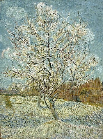 Vincent van Gogh, Blühender Pfirsichbaum (rosa). Arles, April-Mai 1888. (Post-Impressionismus,19. Jahrhundert,Öl auf Leinwand,Gogh,Vincent van,1853-1890,Amsterdam,Van Gogh - Museum,vincent van gogh,baum,impressionismus,impressionistisch,natur,blühend,garten,frühling,obstbaum)