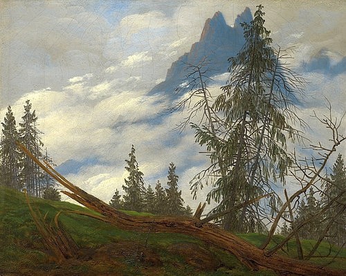 Caspar David Friedrich, Berggipfel mit ziehenden Wolken. Um 1835 (Friedrich,Caspar David,1774-1840,Fort Worth,Kimbell Art Museum,Öl auf Leinwand,19. Jahrhundert,Romantik,Landschaft,Friedrich, Caspar David,Romantik,Berg,Bergspitze,Wolken,Berglandschaft,Natur,naturbelassen,niemand,Tanne,Baum,Nadelbäume,erhaben)