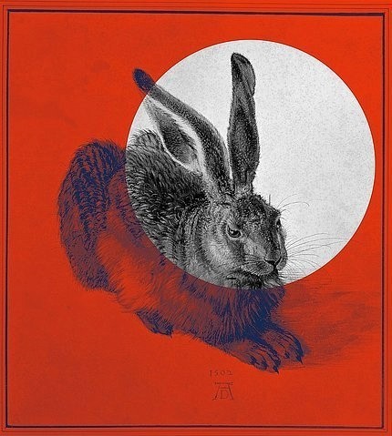 Ulf Buschmann, Junger Feldhase. Bearbeitung des Werkes von Albrecht Dürer. 2016. (Digital erstellt,Buschmann,Ulf,geb. 1975,albrecht dürer,hase,grafisch,modern,bearbeitet,rot,kreis,ulf buschmann,ostern,verfremdung)