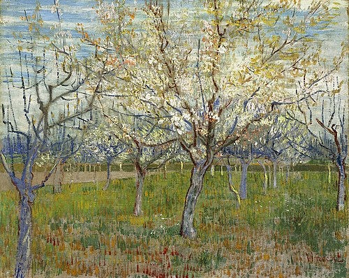 Vincent van Gogh, Rosa Obstgarten. 1888 (Post-Impressionismus,Landschaft,19. Jahrhundert,Öl auf Leinwand,Amsterdam,Van Gogh - Museum,1853-1890,Gogh,Vincent van,Vincent van Gogh,Garten,Obstgarten,Bäume,Baum,Obstbaum,Obstbäume,blühen,Blüte,Obstblüte,Frühling,weiß,Äste,Symbol,Neubeginn,Neuanfang,Ar)