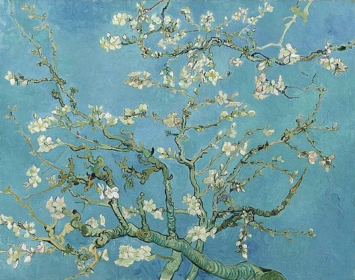 Vincent van Gogh, Mandelblüte. 1890 (Gogh,Vincent van,1853-1890,Amsterdam,Van Gogh - Museum,Öl auf Leinwand,19. Jahrhundert,Post-Impressionismus,Vincent van Gogh,Mandelblüte,Mandelbaum,blauer Himmel,blau,türkis,Frühling,Baum,blühen,weiß,weiße Blüten,Symbol,Neuanfang,neues Leben,japanisch,Äst)